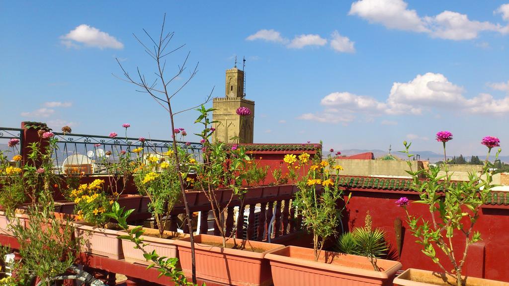 Ryad Bab Berdaine Meknes Bagian luar foto